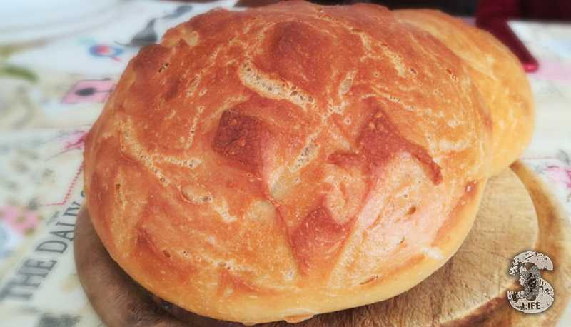 Pane tipo Sardo con semola di grano duro