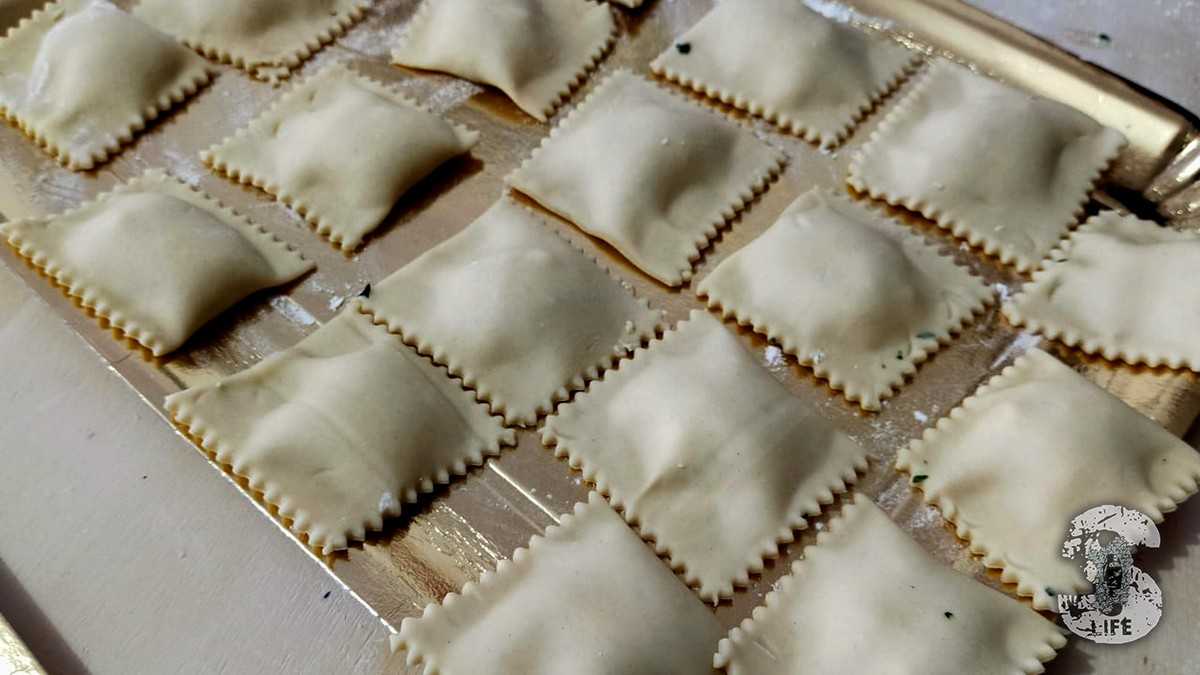 ravioli sardi di ricotta e prezzemolo ricette di sardinian life